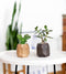 Oakywood Geometric Pen Pot - Walnoot - Luxe Massief Houten Pennenpot Pennenbak