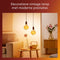 Philips Vintage LED - Dimbare filament lamp - 60W - Extra warmwit licht 1800K - E27 fitting - Amberglas - Globe G95