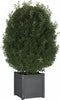 vidaXL - Plantenbakken - 2 - st - 40x40x40 - cm - massief - grenenhout - grijs