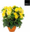 Mica Decorations Begonia Kunstplant in Pot - H37 x Ø35 - Geel