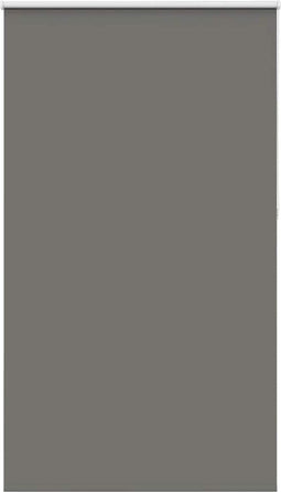 vidaXL - Rolgordijn - verduisterend - 125x210 - cm - stofbreedte - 121,6 - cm - grijs