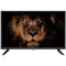 NEVIR NVR-7802-24RD2N - 24
