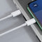 USB to Lightning Cable approx! APPC44