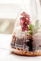 Suck UK Chemistry Terrarium Kit
