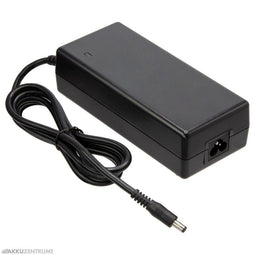 E-Bike charger Phylion charger 29.0V / 2.0A - DC plug 5x2.1mm