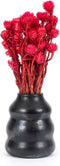 Safaary - Bazar Bizar Burned Vaas - 13x6 CM