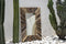 Safaary - Bazar Bizar Drijfhout Ingelijst Spiegel Naturel M - 60x60 CM