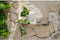 Safaary - Bazar Bizar Vaas Beton L Trendy - 20x20 CM