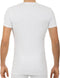 Saint Basics heren T-shirt V-hals Biologisch katoen - S - Wit