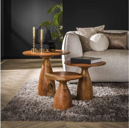 Salontafel Lana (set van 3) acacia - Naturel | Meubelplaats