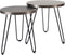 Salontafel Palma - Set van 2 - Nickel