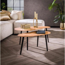 Salontafel set/2 niervormig organisch - Massief acacia naturel