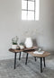 Salontafel set - DTP Home Highlight Salontafel Organus Naturel - set van 2