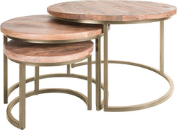 Salontafel Set van 3 - Industriële Salontafelset Erjan - Goud