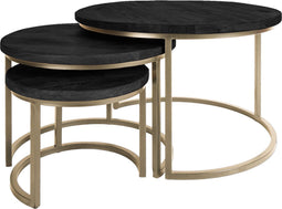 Salontafel Set van 3 - Industriële Salontafelset Erjan - Zwart/Goud