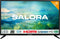 Salora 24LTC2100 - 24 inch - HD ready LED - 2022