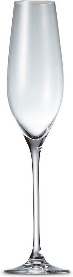 Salt&Pepper Cuvee Champagneglas - 6 stuks