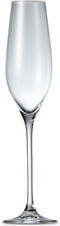 Salt&Pepper Cuvee Champagneglas - 6 stuks