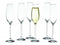 Salt&Pepper Cuvee Champagneglas - 6 stuks