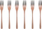 Sambonet Gebaksvorkjes Taste Koper 6 Stuks