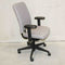Sample Sale 196 Workliving NPR1813 Jaarbeurs-Special Gray - Office chair Ergonomic Design ARBO