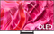 Samsung OLED QD S90C 65 inch (buitenlands model, XXH) Zwart
