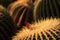 Samyang 135mm F2.0 Ed Umc - Prime lens - geschikt voor Canon Spiegelreflex