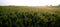 Samyang 16mm F2.0 ED AS UMC CS - Prime lens - geschikt voor Nikon Spiegelreflex