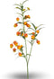 Sandersonia spray x3 orange 110 cm Emerald