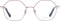 Sandro SD4007 52904 bril zonder sterke - Dames - Goudkleurig