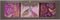 Sara Miller London - Set van 3 Bewaarblikken Haveli Garden - Vierkant - Roze - Blik - 10,5 x 10,5 x 10,5 cm