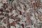 Sari Silk TX-3422 Vloerkleed - 140x200 - Rechthoek - Laagpolig,Oosters,Vintage Tapijt - Modern - Meerkleurig