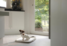 Savic Savic Puppy Trainer Starterkit Medium - Hondentoilet - 450 mm x 300 mm