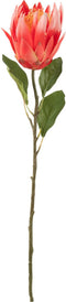 J-Line decoratie tak Protea - kunststof - donkerrood - 6 stuks