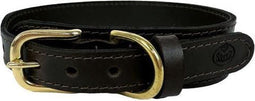 Sazzz - Halsband Pioneer Classic Leer Donkerbruin