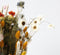 Plant in a Box - Boeket 'Patrice' - Droogbloemen - hoogte 55cm