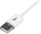 USB Cable Startech USBEXTPAA2MW USB A White