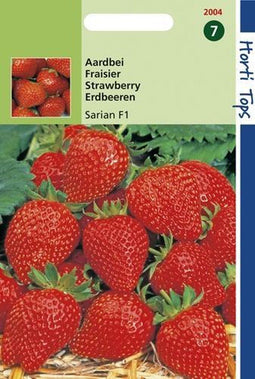 2 stuks Hortitops Aardbeien Grandian F1