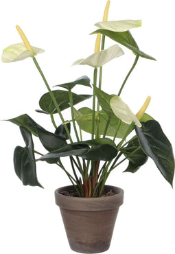 Mica Decorations Anthurium Kunstplant - H38 x Ø30 cm - Wit
