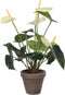 Mica Decorations Anthurium Kunstplant - H38 x Ø30 cm - Wit