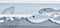 Set decoratieve dozen DKD Home Decor Hout Spiralen Mediterrane (42 x 29 x 12 cm)