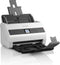 Scanner Epson B11B250401