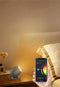 Woox R5145 - Vloerlamp - Smart Ambient Light RGB+CCT - Multi-color