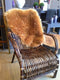 Schapenvacht 65 x 90 cm bruin