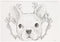 Schetsblok Animal Planet met Stickers
