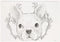 Schetsblok Animal Planet met Stickers