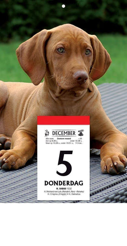 SCHILD DRUIVELAAR 253X160 2017