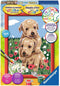 Schilderen Op Nummer - Knuffelende Puppies