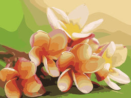 Schilderen op nummer PBN-5166 - Orichidee !!!! NU PROMOTIE !!!! + 1 Gratis schilder op nummer naar onze keuze