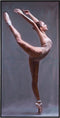 Schilderij 70 x 3,5 x 140 cm Canvas Ballerina